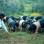 Agriturismo