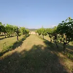 Agriturismo * Scorgiano