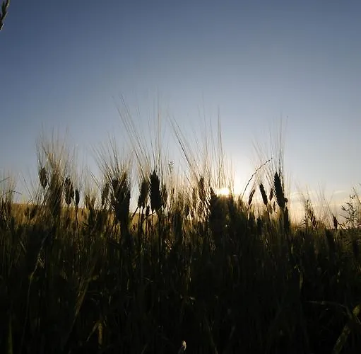Agriturismo בית חווה *
