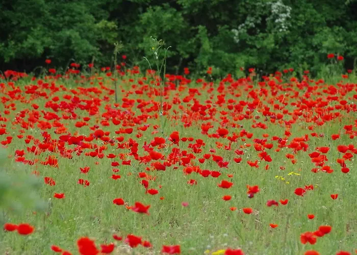 בית חווה Agriturismo *