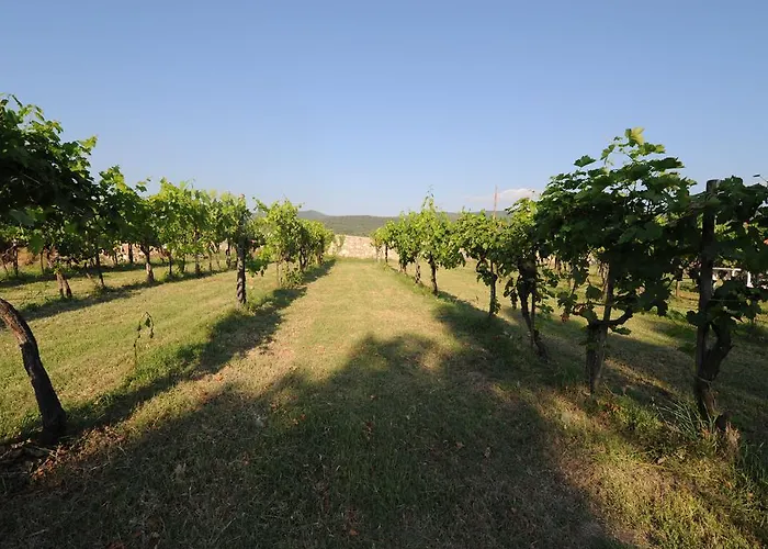 Agriturismo * Scorgiano