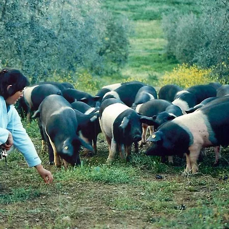 Agriturismo