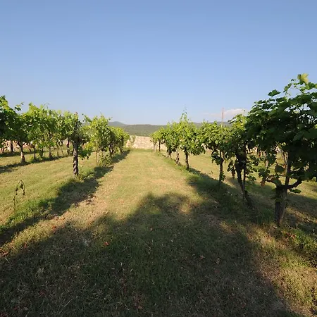 Agriturismo * Scorgiano